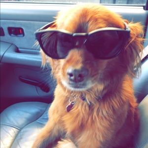 Meet your Posher, Kyle